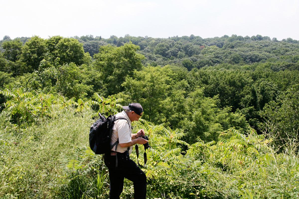 hacker takes pictures in the beautiful High rock park in the greenbelt in staten island