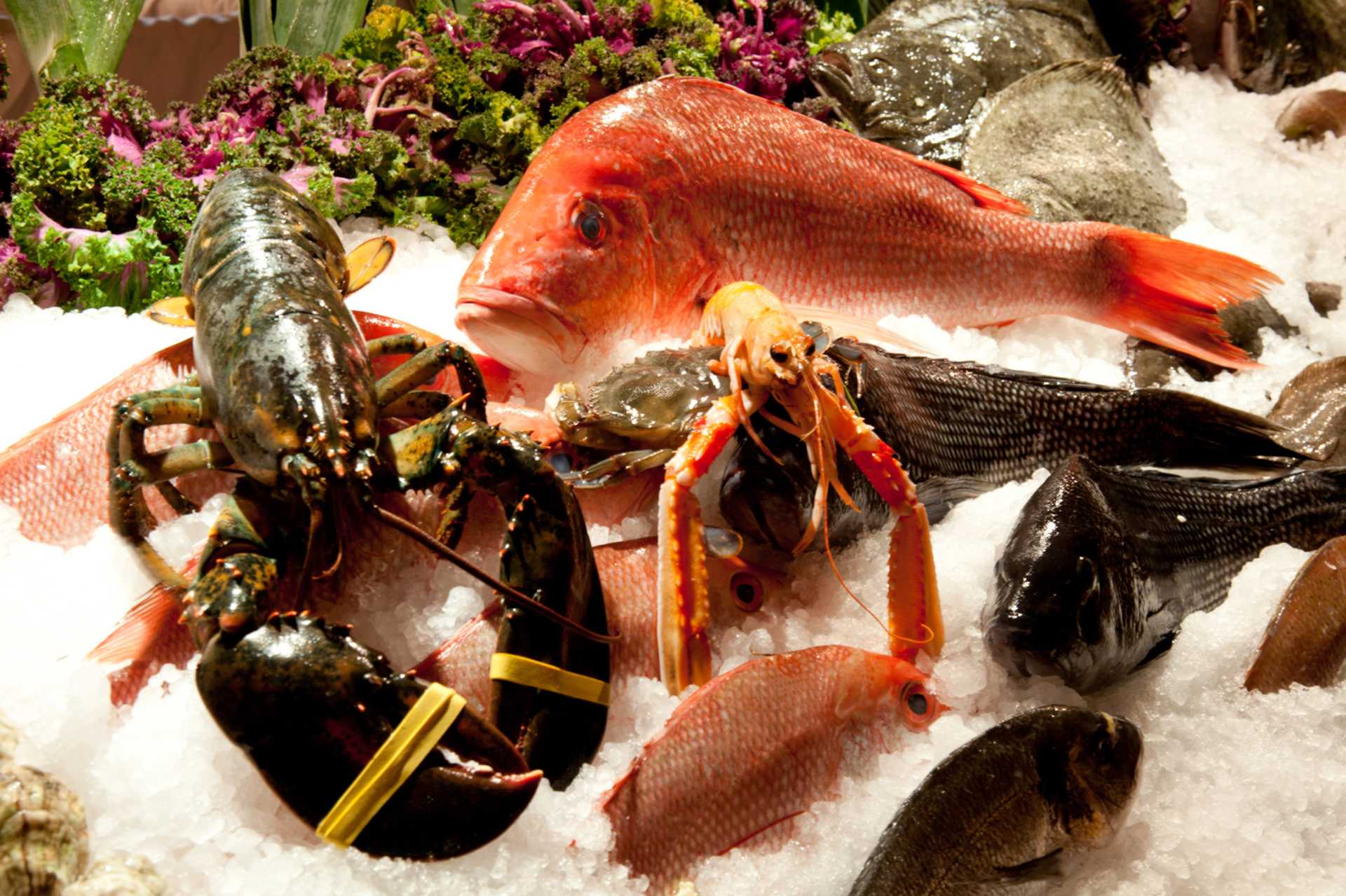 kellari-taverna-fish-display.jpg