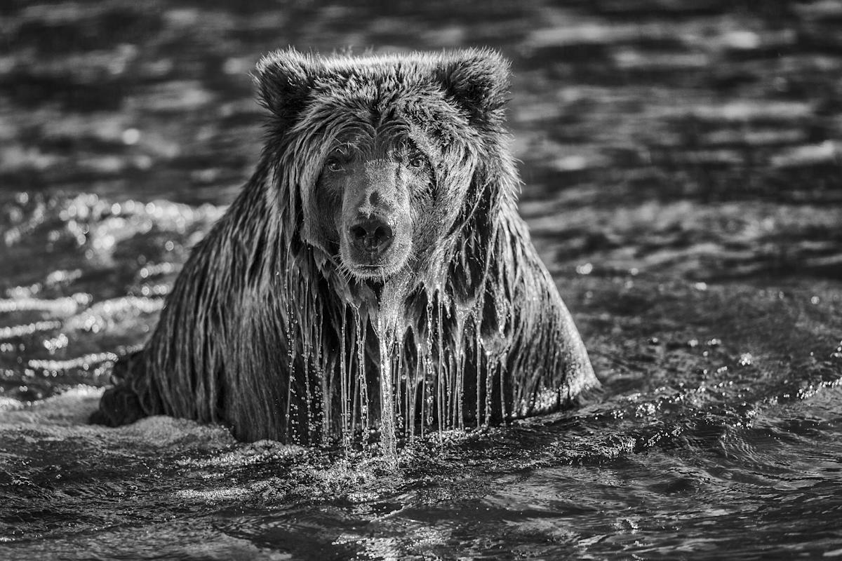 Photo: Paul Nicklen