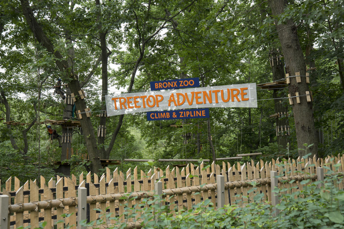 bronxzoo-zipline-bronx-nyc-attraction-brittanypetronella_0097