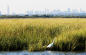 gateway_nra_jamaica_bay_wildlife_refuge