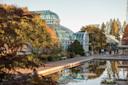 Brooklyn Botanic Garden, in Brooklyn