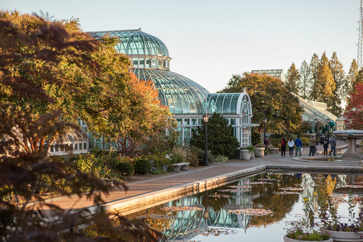 05_brooklynbotanicgarden_taggeryanceyiv_1274