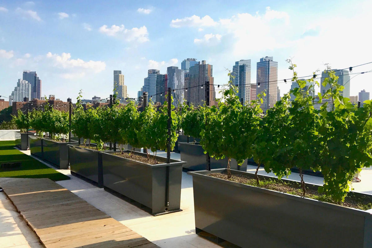 rooftop-reds-brooklyn-navy-yard-brooklyn-nyc-june-2017