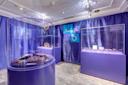 Worth its weight , gold from the grownd up exhibition, interior