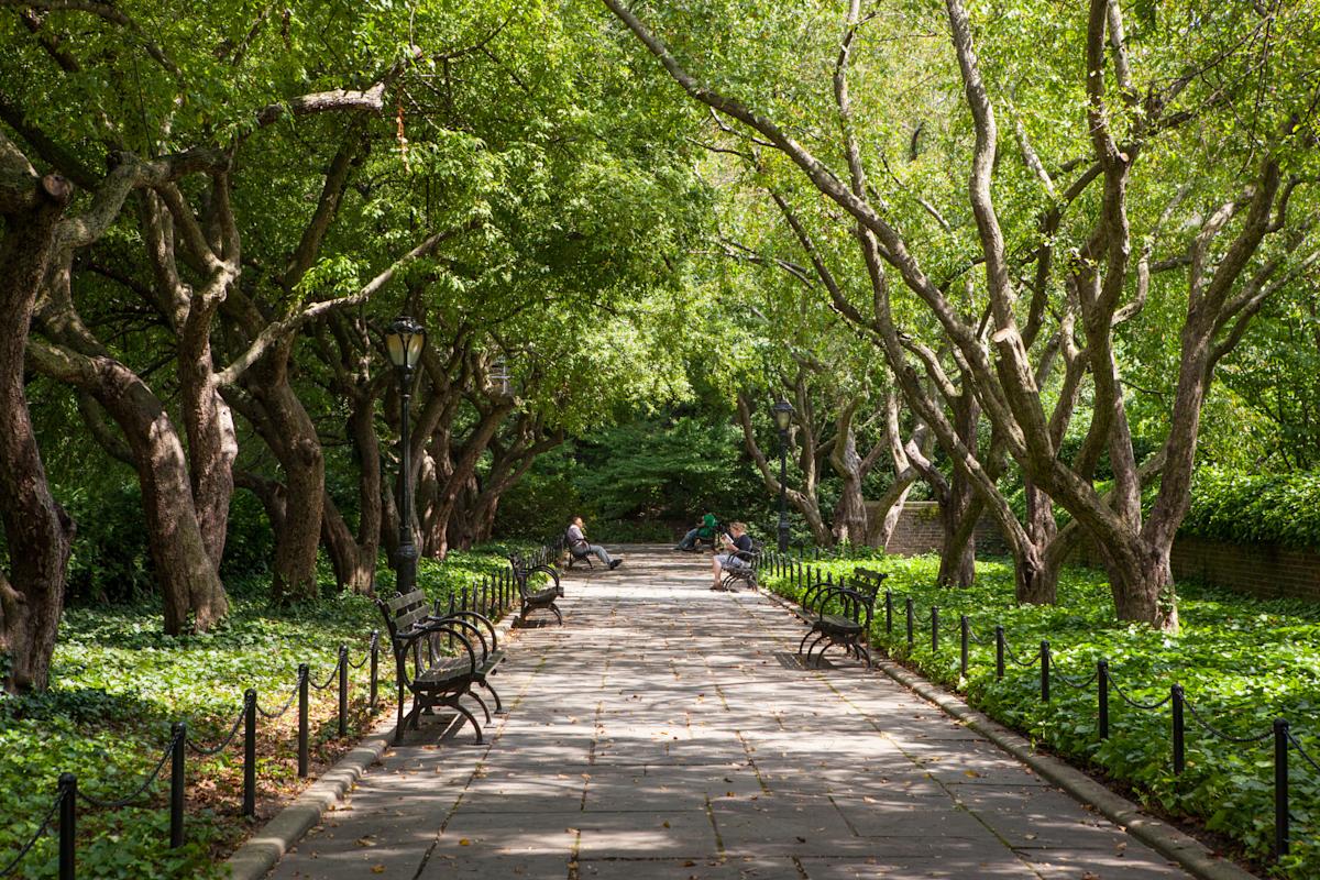 central-park-conservatory-garden-marley-white-7855