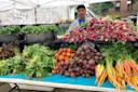 A vendor stands behind a market stall displaying fresh vegetables, including leafy greens, bunches of carrots, beets, radishes, and cilantro, with a “Gonzalez Farm” sign in the background.