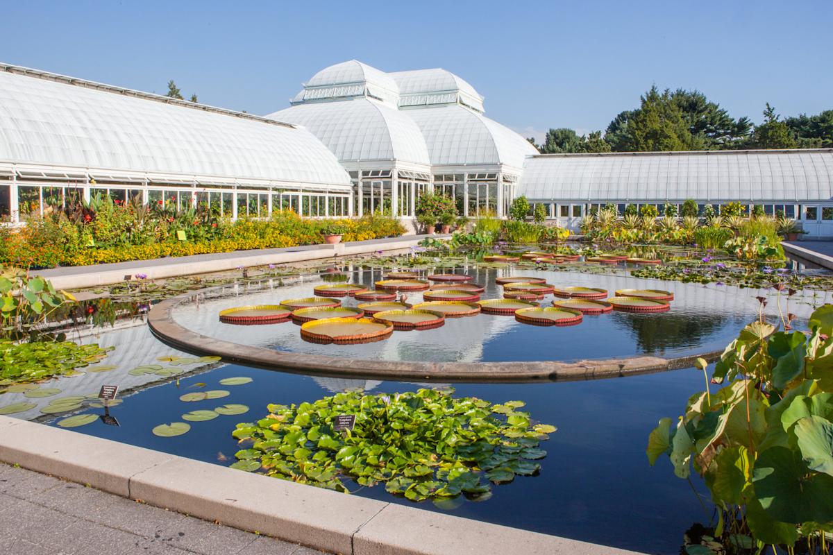 New York Botanical Garden, Bronx: NYCgo.com | NYC Tourism