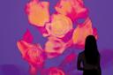 A silhouetted woman stands in front of a digital display showing vivid, abstract orange and pink flowers on a purple background.