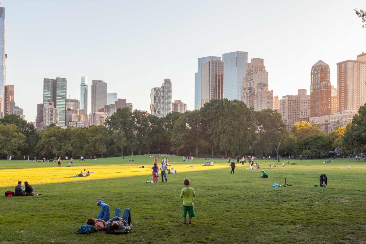 The Great Lawn at Central Park, Manhattan, NYC