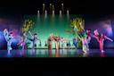 Dance-Africa-BAM-Brooklyn-NYC-Photo-Tony-Turner-2.jpg