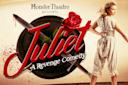 Poster for "Juliet: A Revenge Comedy" by Monster Theatre. Features a woman in period costume facing sideways, with a sword and red rose in the background. The text is styled with splattered blood effects.