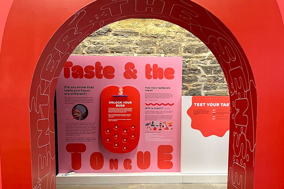 Museum of Food and Drink | DUMBO museum | NYCtourism.com