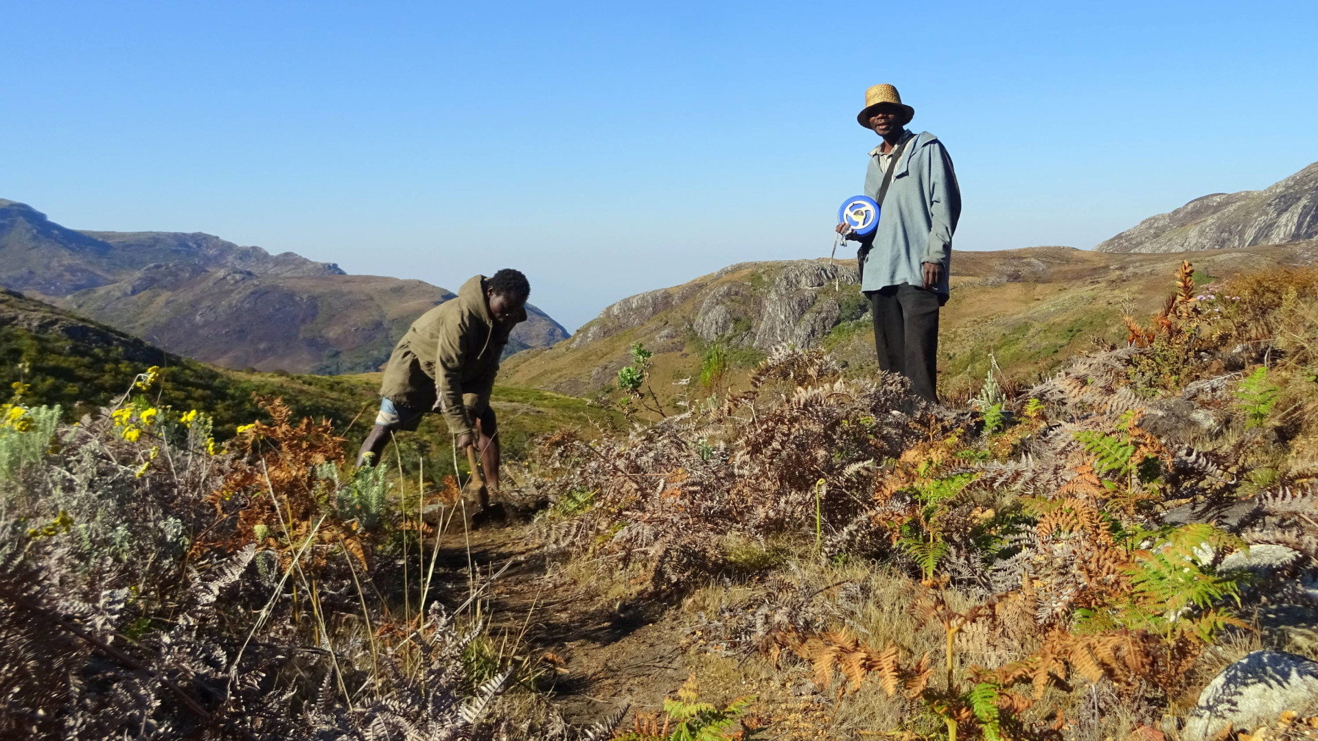 Forest management with local committees