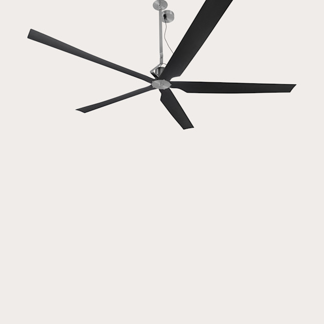 Avenue Road TWO Ceiling Fan