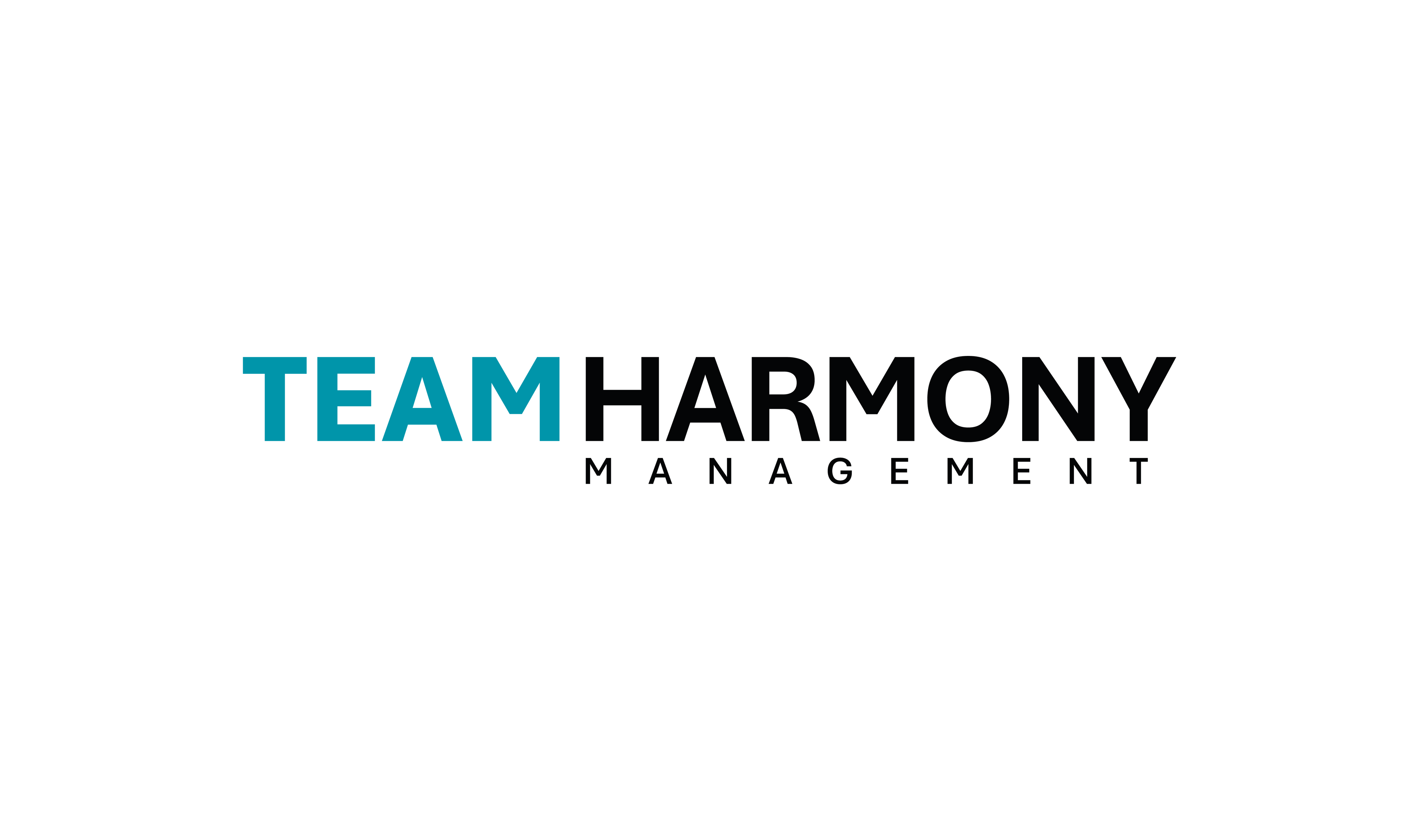 Logo Team Harmony Management Snef Maintenance