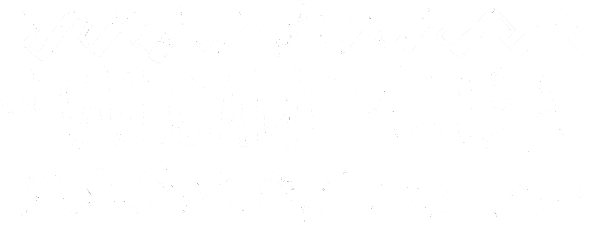 Logo La Vulcanizadora
