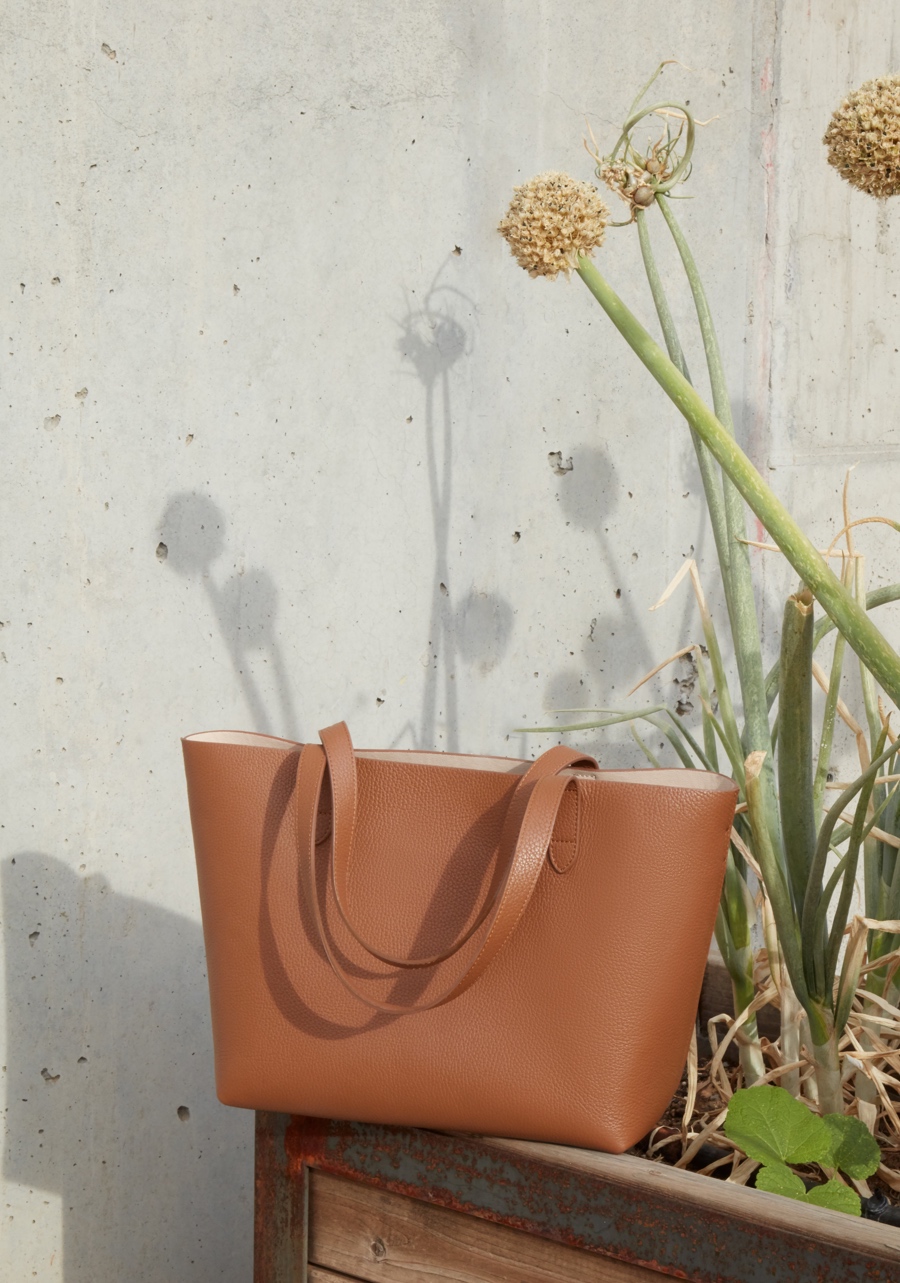 cuyana structured tote