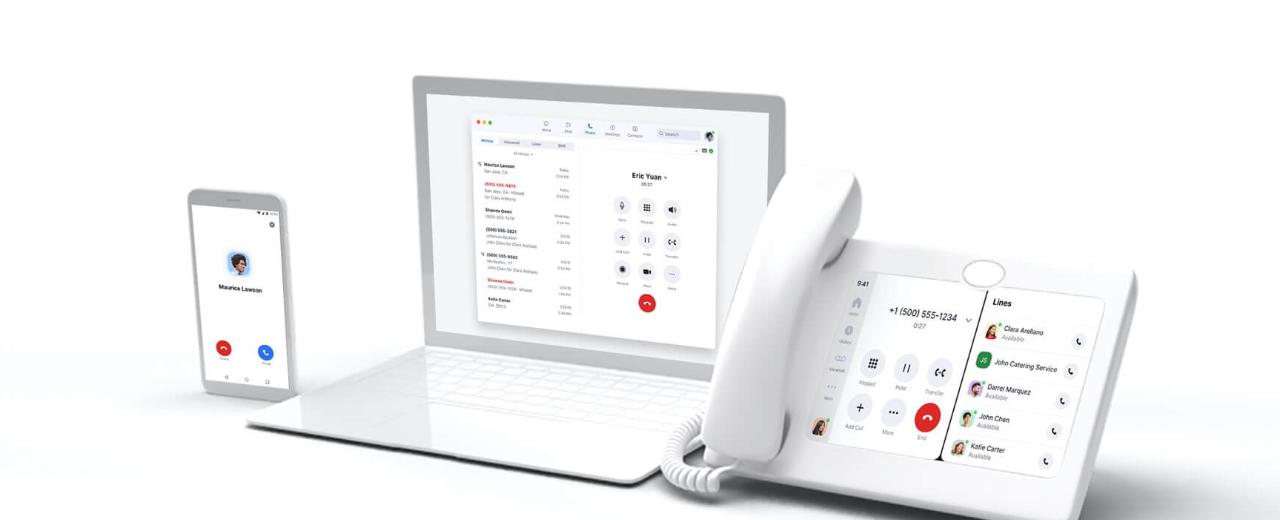 Zoom IP telephony