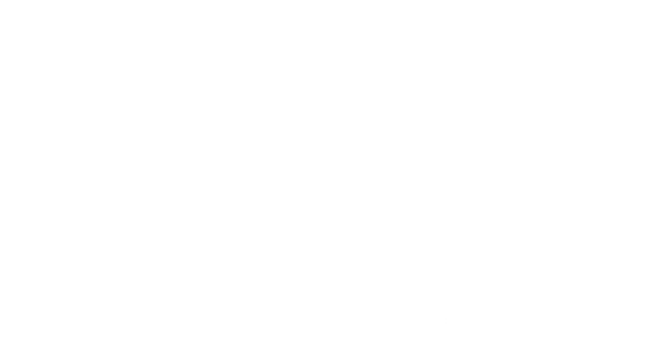 Sveta Nedelja