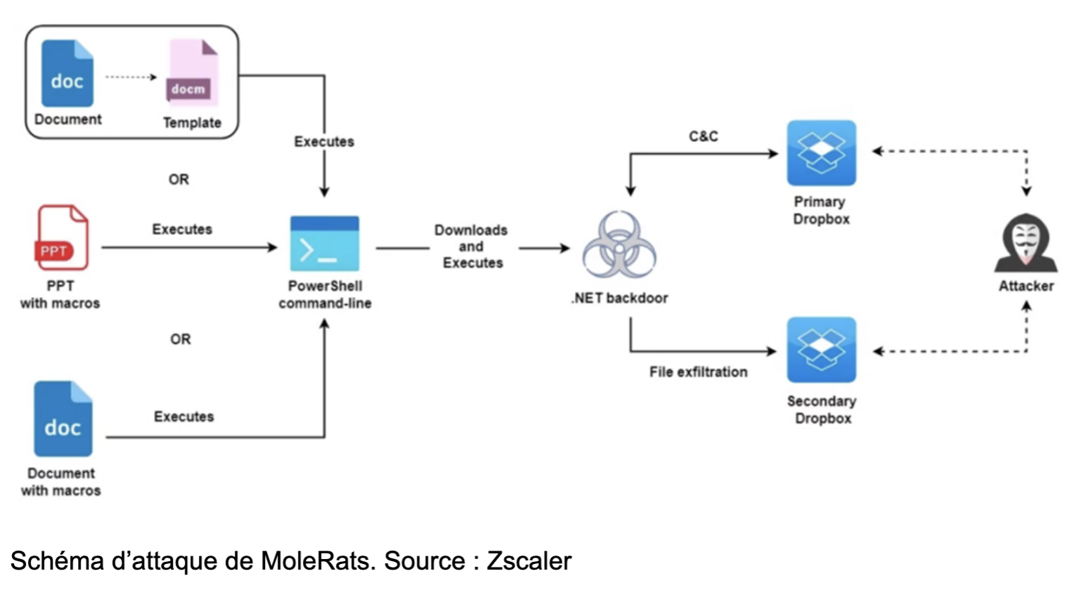 schema-d-attaque-de-MoleRats