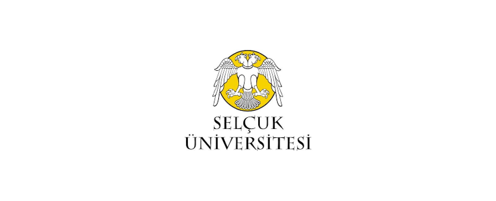 جامعة سلجوق في قونية