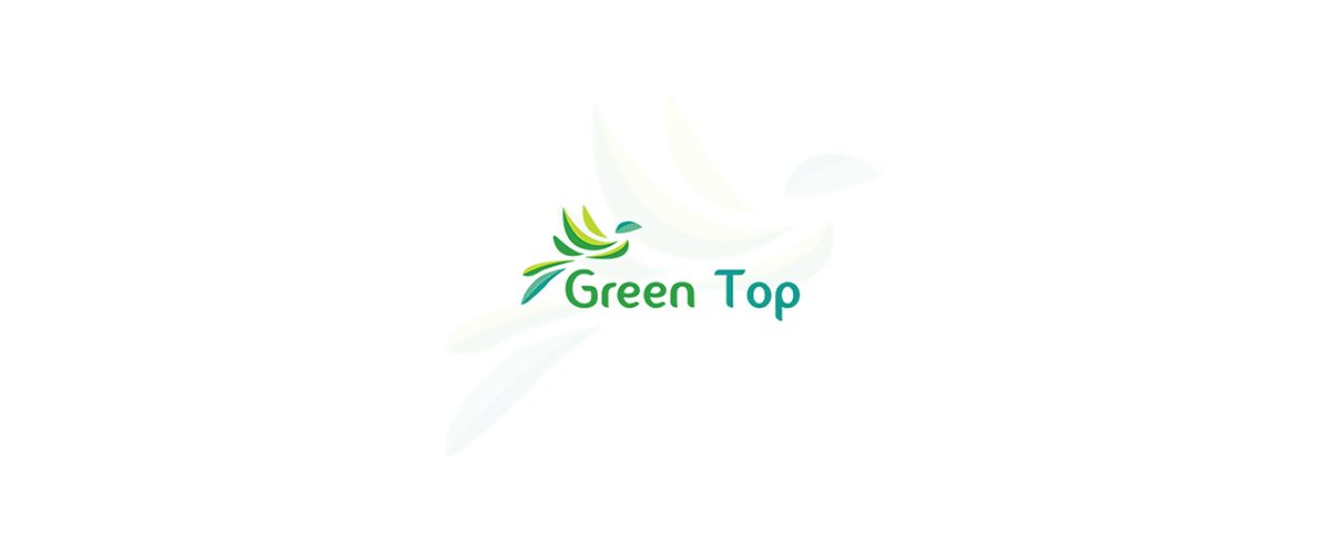  شركة جرين توب السياحية