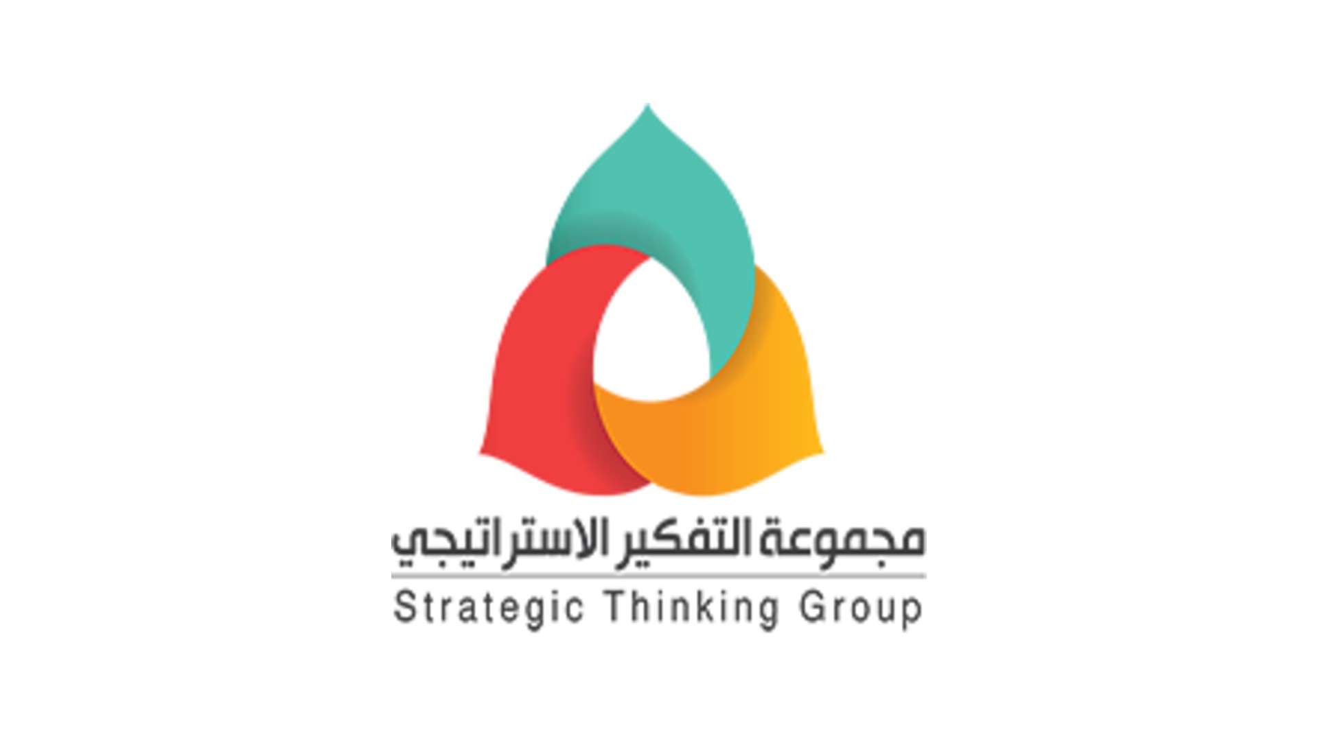 مجموعة التفكير الاستراتيجي STG  - اسطنبول