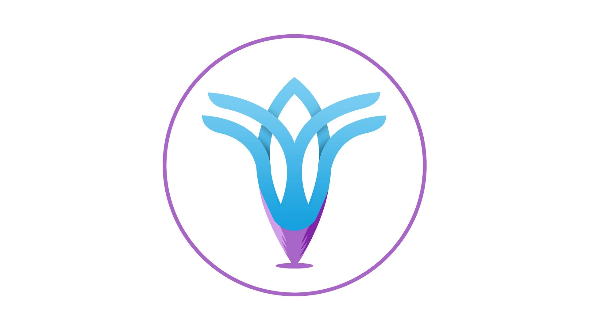 مدارس توليب الدولية - اسطنبول