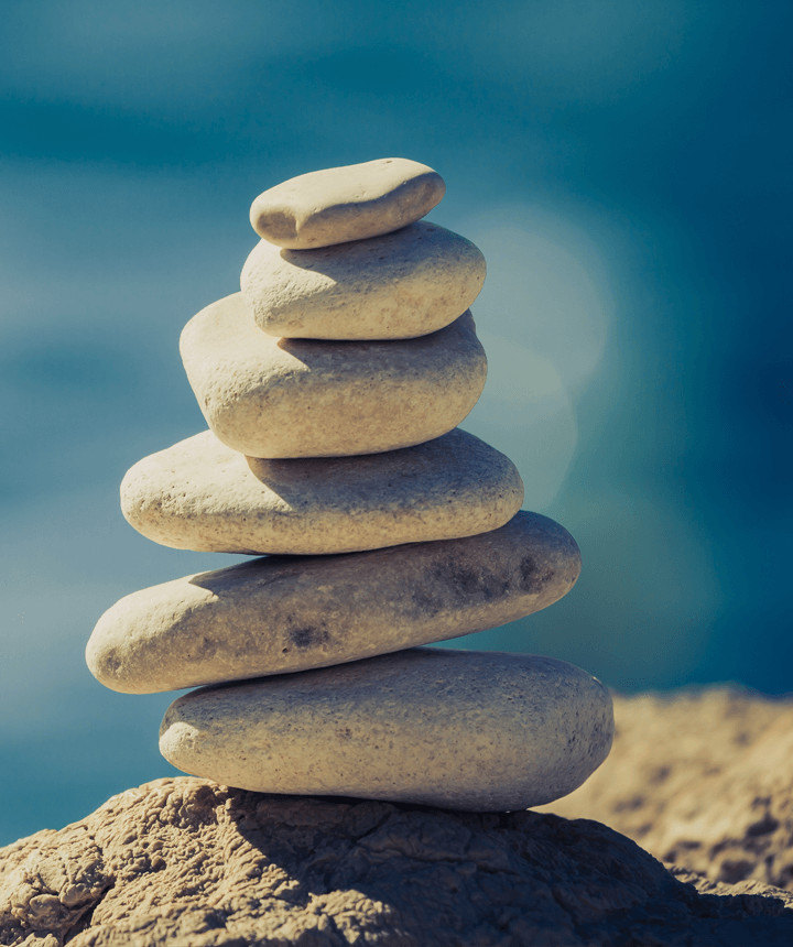 Gallery 11 Description