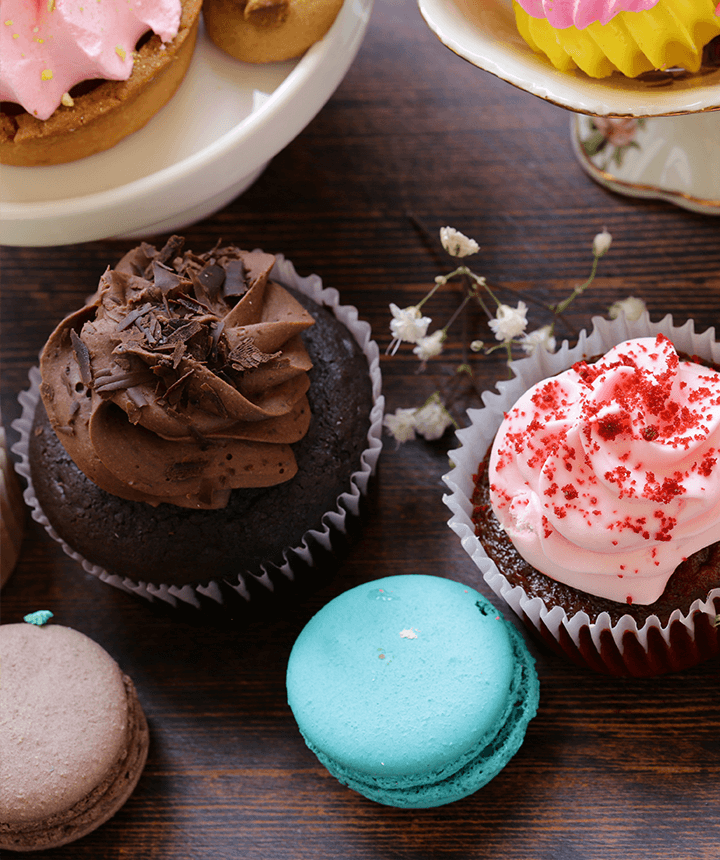 Gallery 10 Description