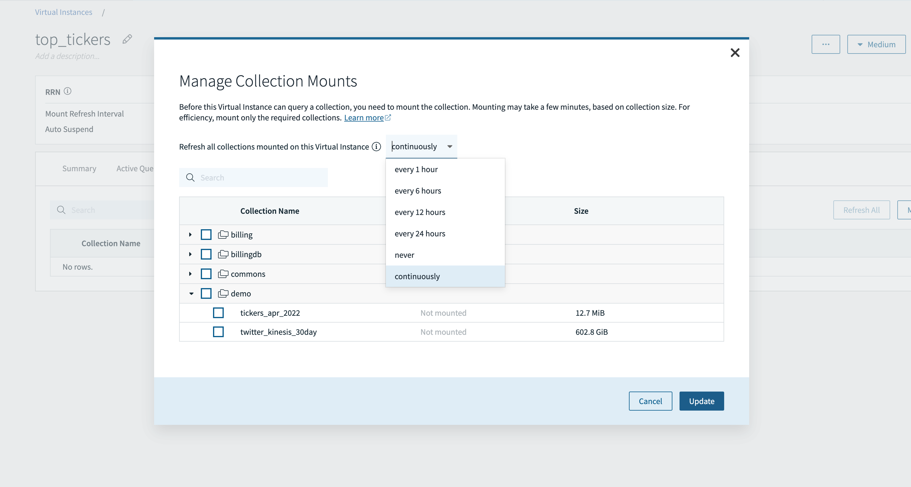 Mount collections to virtual instances