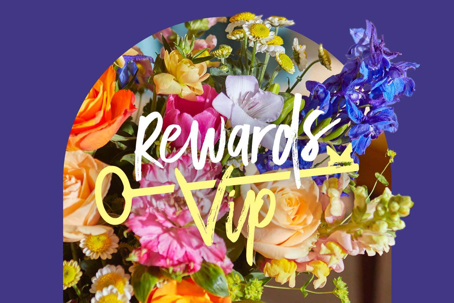 Bloom & Wild Rewards VIP banner. An arched window reveals a burst of colourful, sweet-scented flowers: velvety peach roses, bright pink blooms and rich blue delphiniums. Text reads: Rewards VIP.
