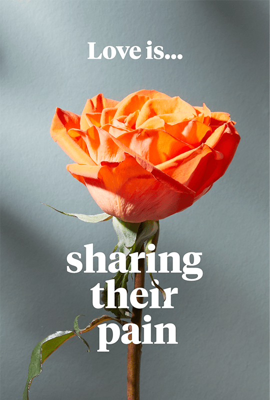An orange rose with the words 'Love is... sharing their pain'