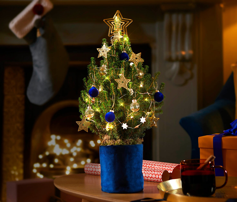 Ein festlich geschmücktes Weihnachtsbäumchen