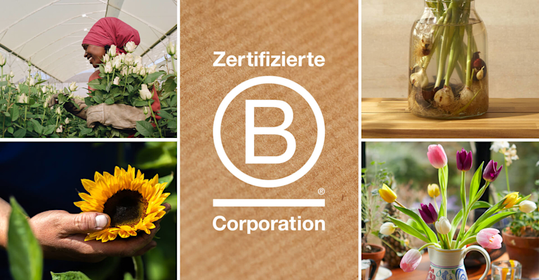 Das Logo 'Zertifizierte B Corporation'-Logo, umgeben von vier verschiedenen Bildern, darunter ein Bild von frischen Tulpen in einer Keramikvase und einer lächelnden Frau mit Gartenhandschuhen und einem Arm voller weißer Rosen.