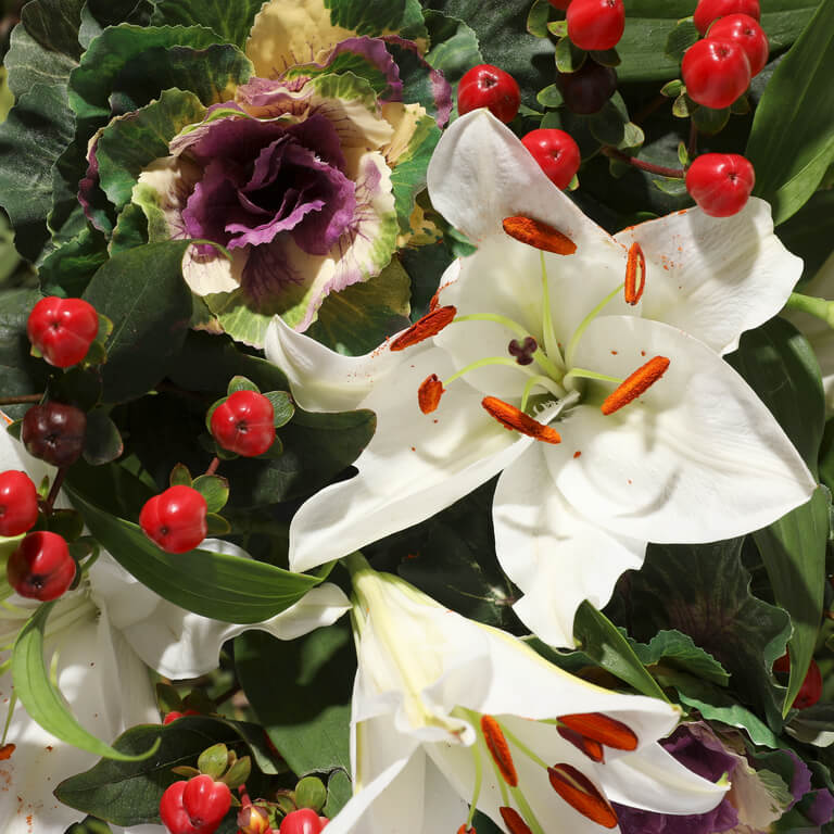 British Lilies