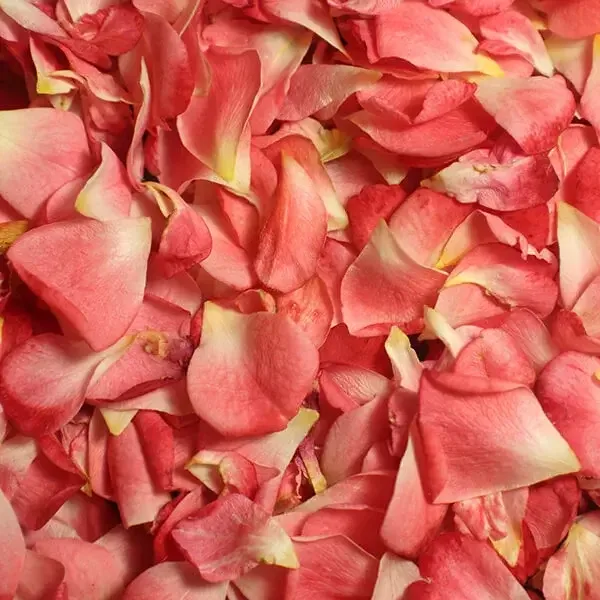 What To Make With Rose Petals - 5 Brilliant Uses