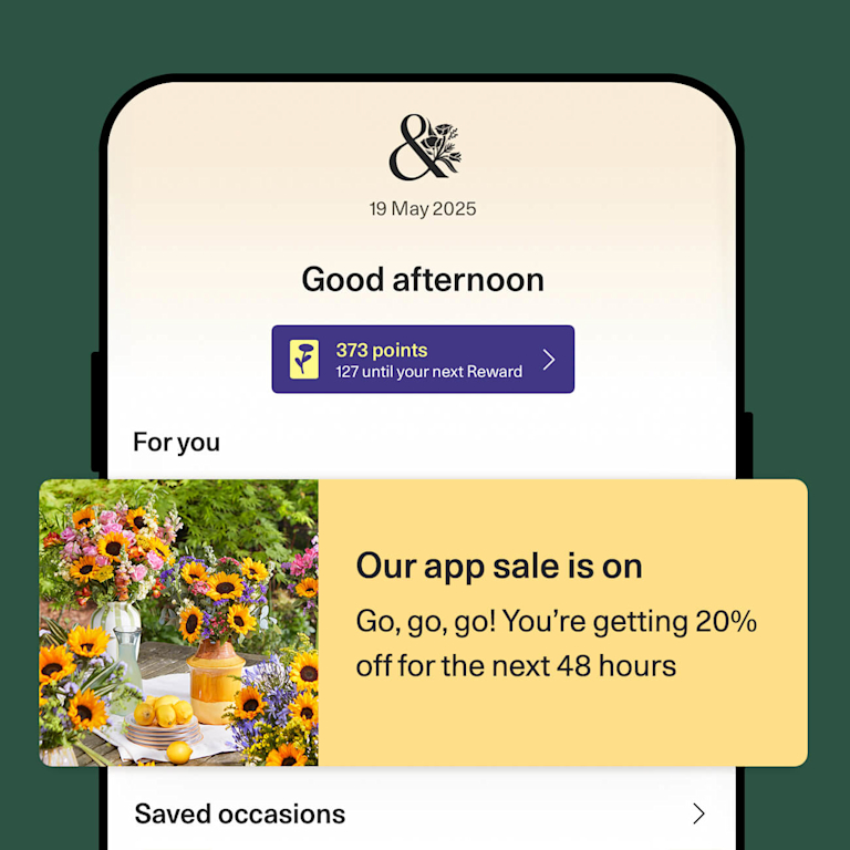 The Bloom & Wild app home screen shows "373 points" and a yellow banner: "Our app sale is on. Go, go, go! You're getting 20% off for the next 48 hours." A vibrant sunflower bouquet is pictured beside it.