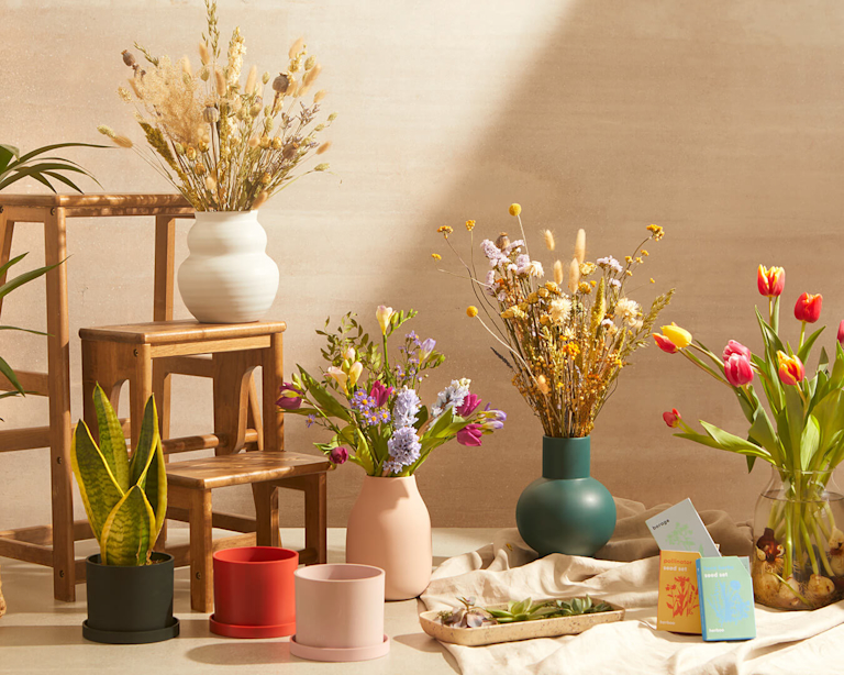 A mix of fresh and dried blooms, plants, plant pots and seed packets are sat next to each other in a neutral coloured room. One of the flower vases has been placed on a wooden step stool.