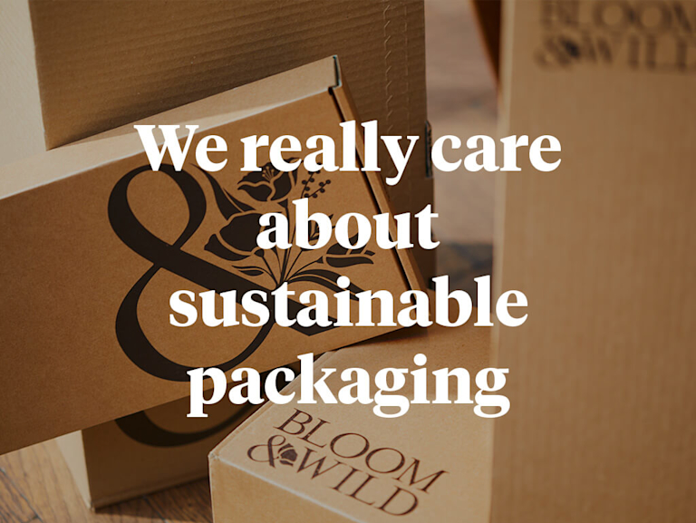 Several, cardboard Bloom & Wild delivery boxes are placed next to and atop each other. The text overlay reads: 'We really care about sustainable packaging'.