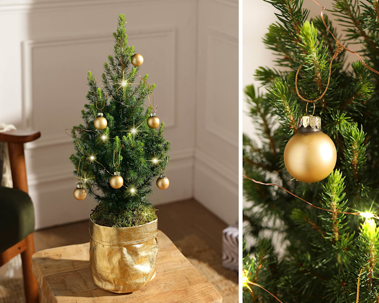 A collage of a mini Christmas tree, decorated with golden baubles and fairy lights. 