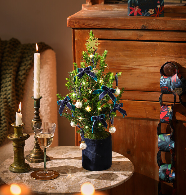Small Christmas tree decorated with blue bows and baubles, lit up with fairy lights. 