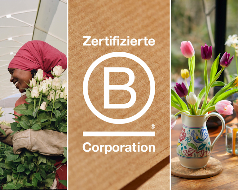 Das Logo 'Zertifizierte B Corporation'-Logo, umgeben von vier verschiedenen Bildern, darunter ein Bild von frischen Tulpen in einer Keramikvase und einer lächelnden Frau mit Gartenhandschuhen und einem Arm voller weißer Rosen.
