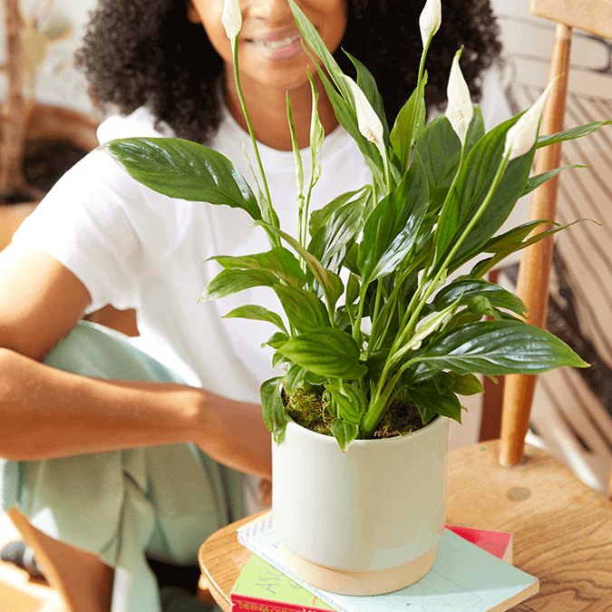 ferm plant stand Agnes Plant Stand – Italian Luxury Interiors main image 0