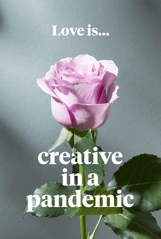 A pale purple rose with the words 'Love is... creative in a pandemic'