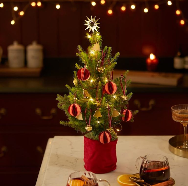 Bloom & Wild's Jingle Bell Tree - a tiny christmas tree with orange striped baubles and gold bell decorations