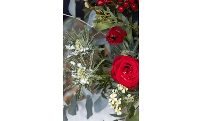 red roses and holly