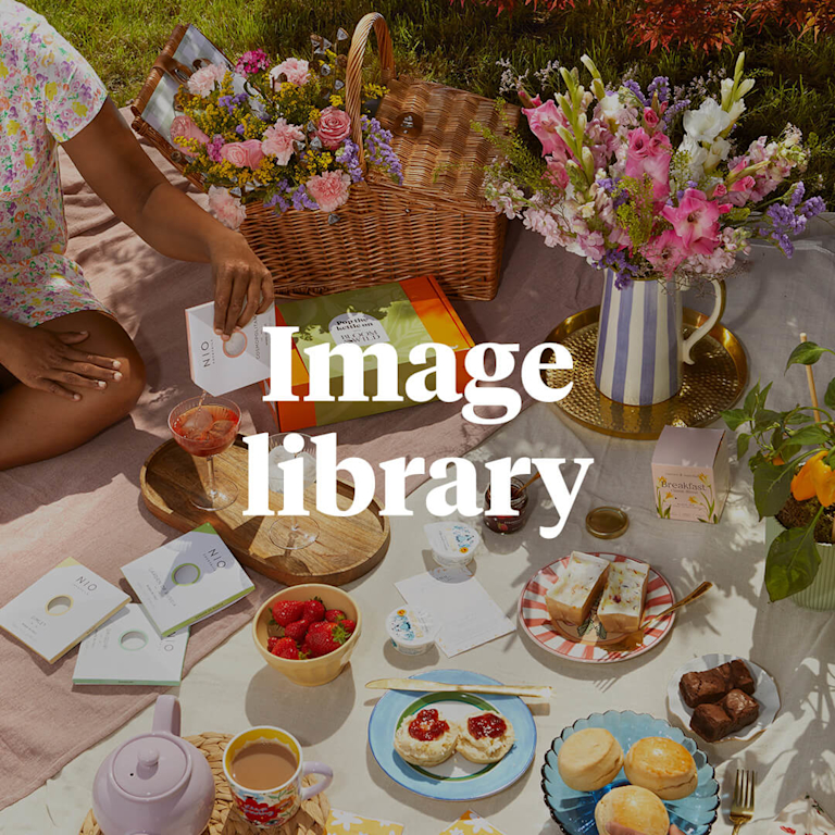 A decadent picnic. Vases full of spring flowers and tea-time treats are dotted around the blanket. In front are the words 'Image library'.