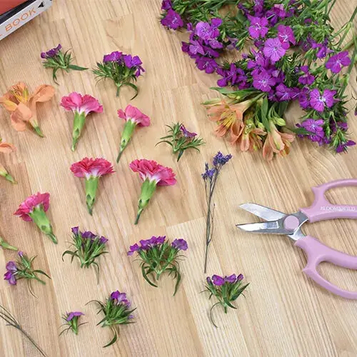 A selection of flower heads on a table, with a pair of scissors.